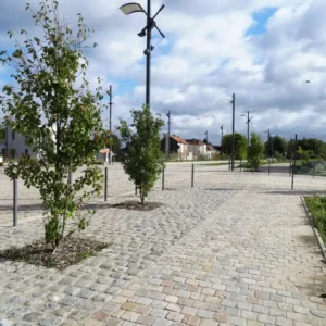 ville de sin le noble 1